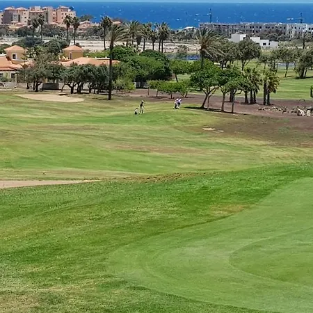 Gaviota كاليتا ذي فوستي