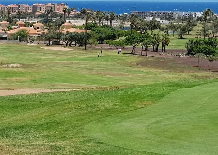 Gaviota كاليتا ذي فوستي